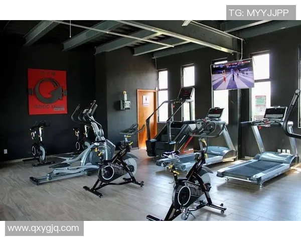 室内健身器材的多样选择与功能解析助你打造完美家庭健身空间