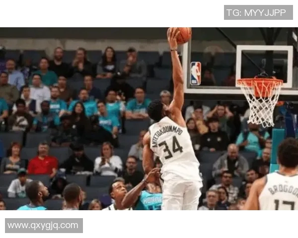 微山篮球明星的崛起之路与未来发展展望探讨